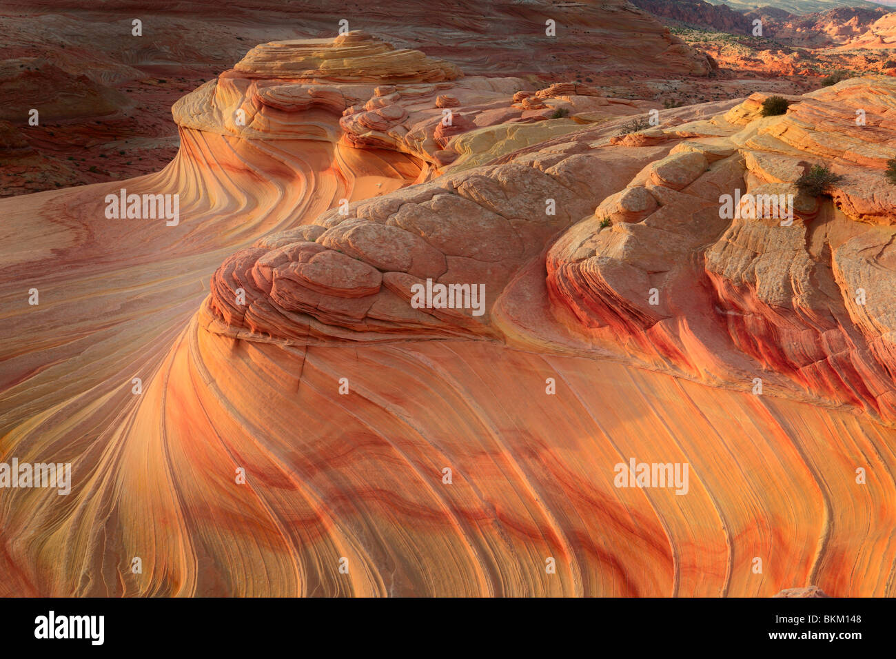 Abstrakte Muster auf erodierten Sandstein-Formationen im Vermilion Cliffs National Monument Stockfoto