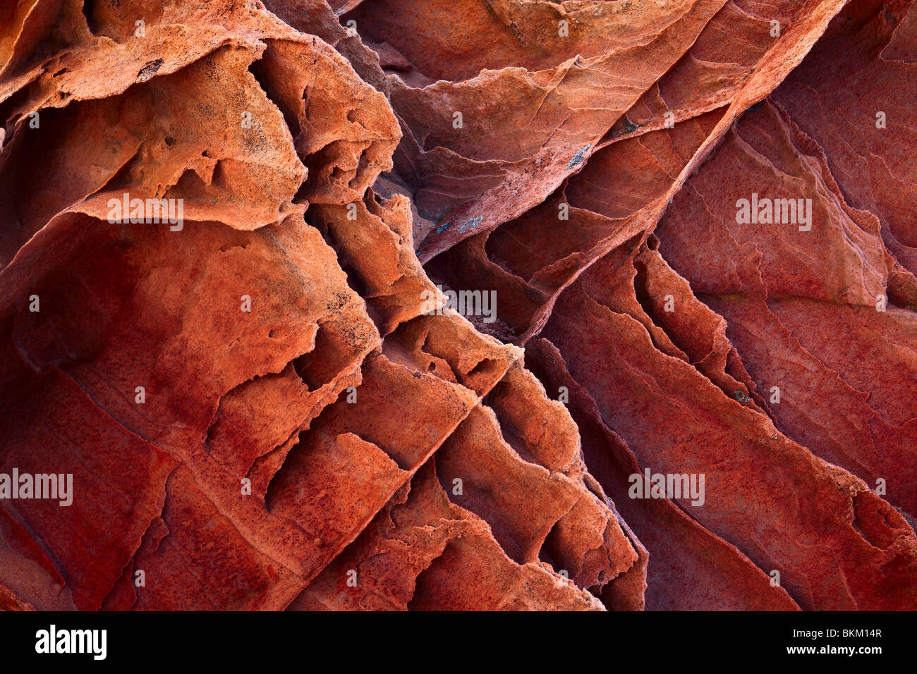 Details im gekerbten Sandstein-Formationen im Vermilion Cliffs National Monument, Arizona Stockfoto