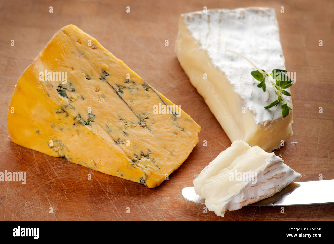 Brie und blauen Shropshire Käse Stockfoto