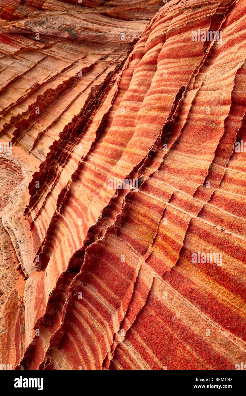 Details im gekerbten Sandstein-Formationen im Vermilion Cliffs National Monument Stockfoto