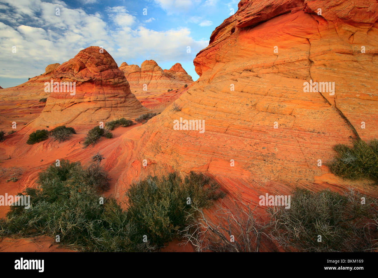 Dramatische Felsformationen im Vermilion Cliffs National Monument, Arizona Stockfoto