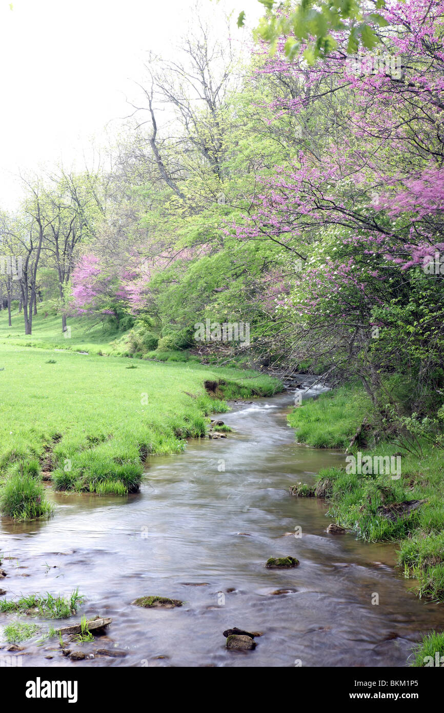 Fluss fließt durch das Land im Frühjahr. Stockfoto