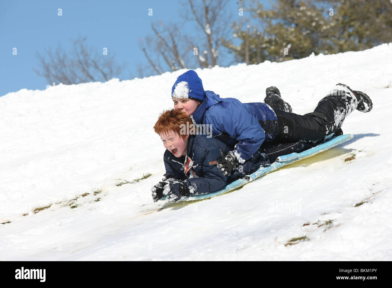 Rodeln im Schnee in Charlottesville, VA. Stockfoto