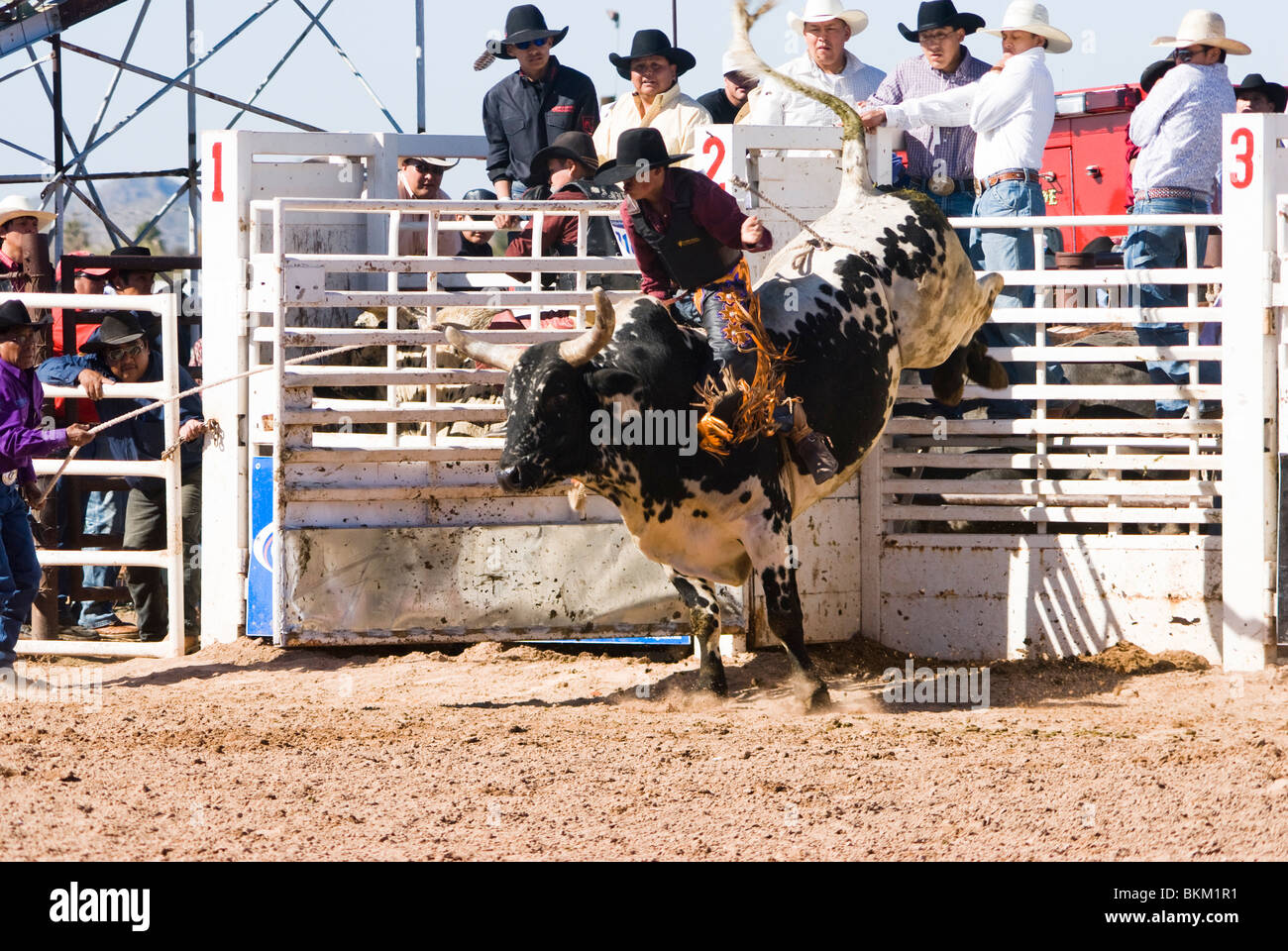 ein Cowboy konkurriert in der Bullenreiten Ereignis während der O' odham Tash All-indischen rodeo Stockfoto