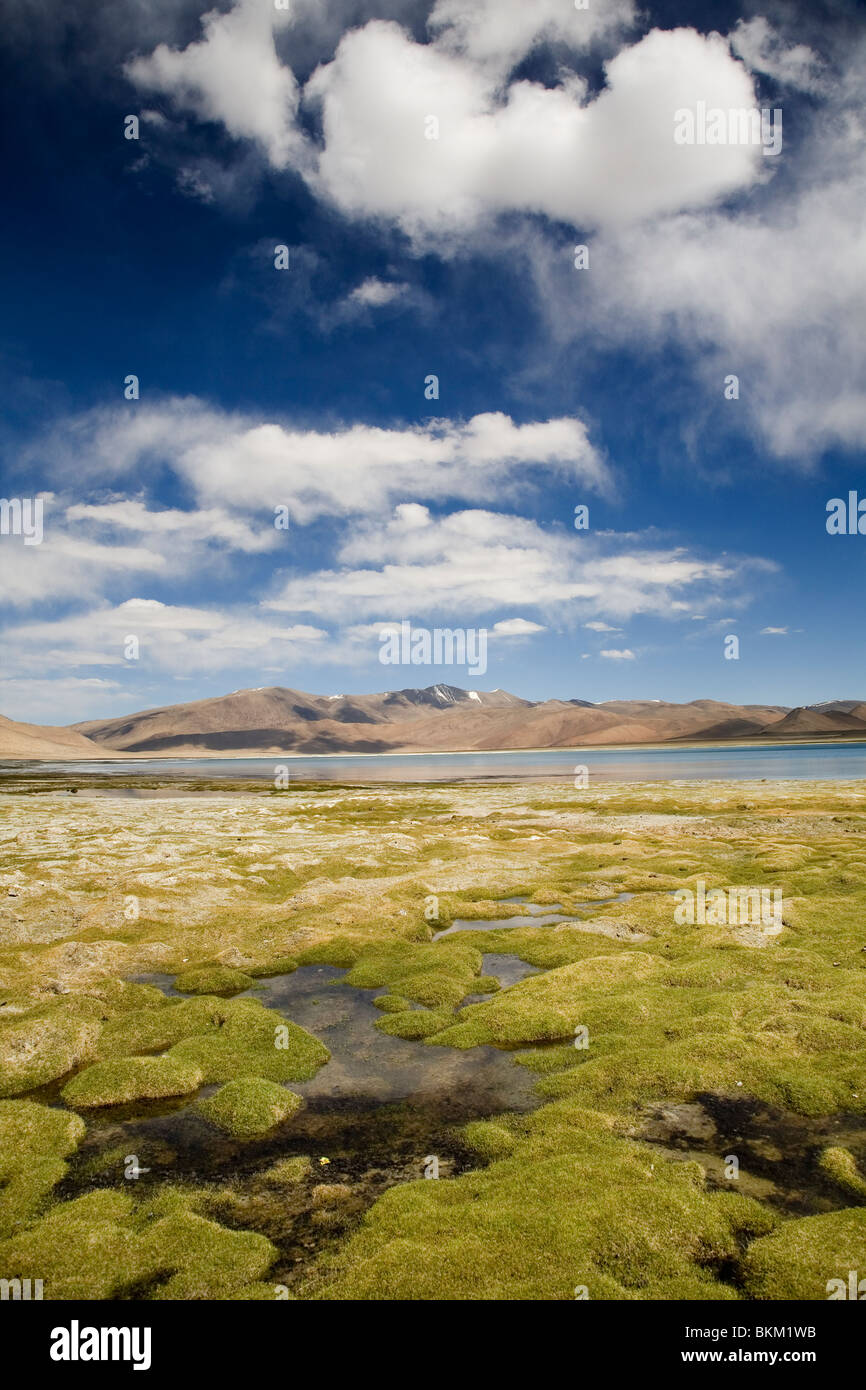 Tso Kar, großer Höhe Brackwasser See im Changthang Plateau von Ladakh. Jammu & Kaschmir, Indien. Stockfoto