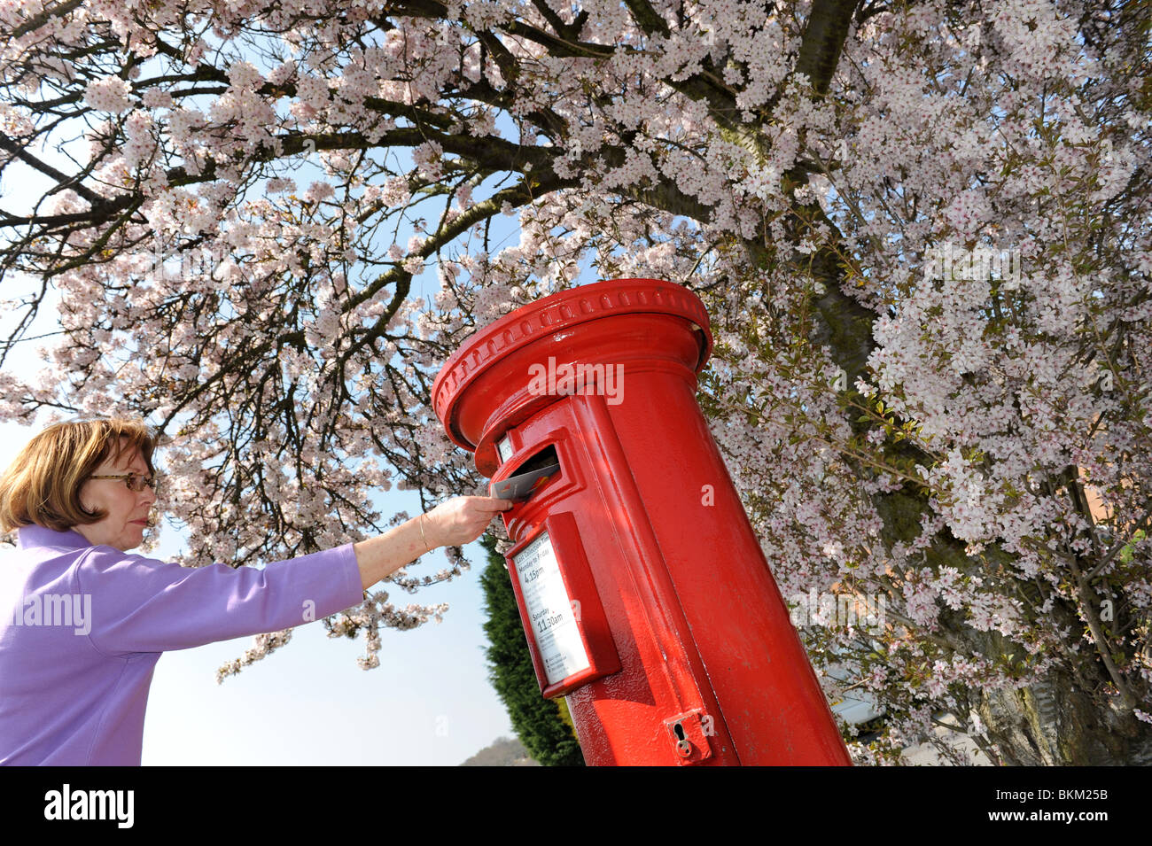 Frau Entsendung einen Brief im Postkasten Frühling Zeit England Uk Stockfoto