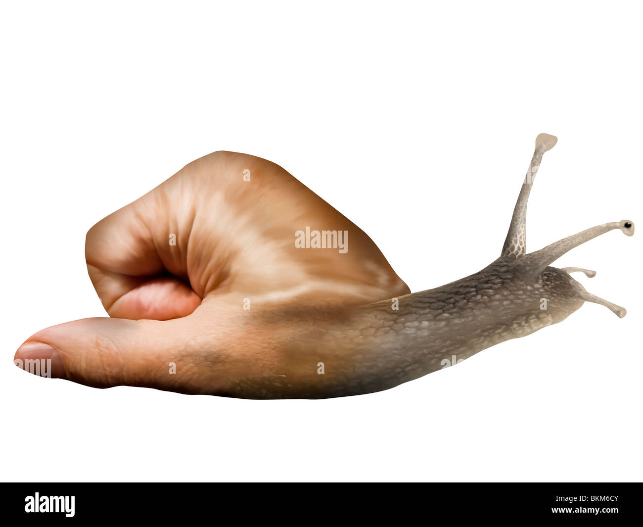 Surreale Schnecke mit einer Hand für eine shell Stockfoto