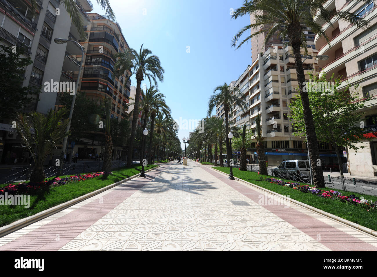 Fußgängerzone Avenida de Federico Soto, Alicante, Provinz Alicante, Comunidad Valenciana, Spanien Stockfoto