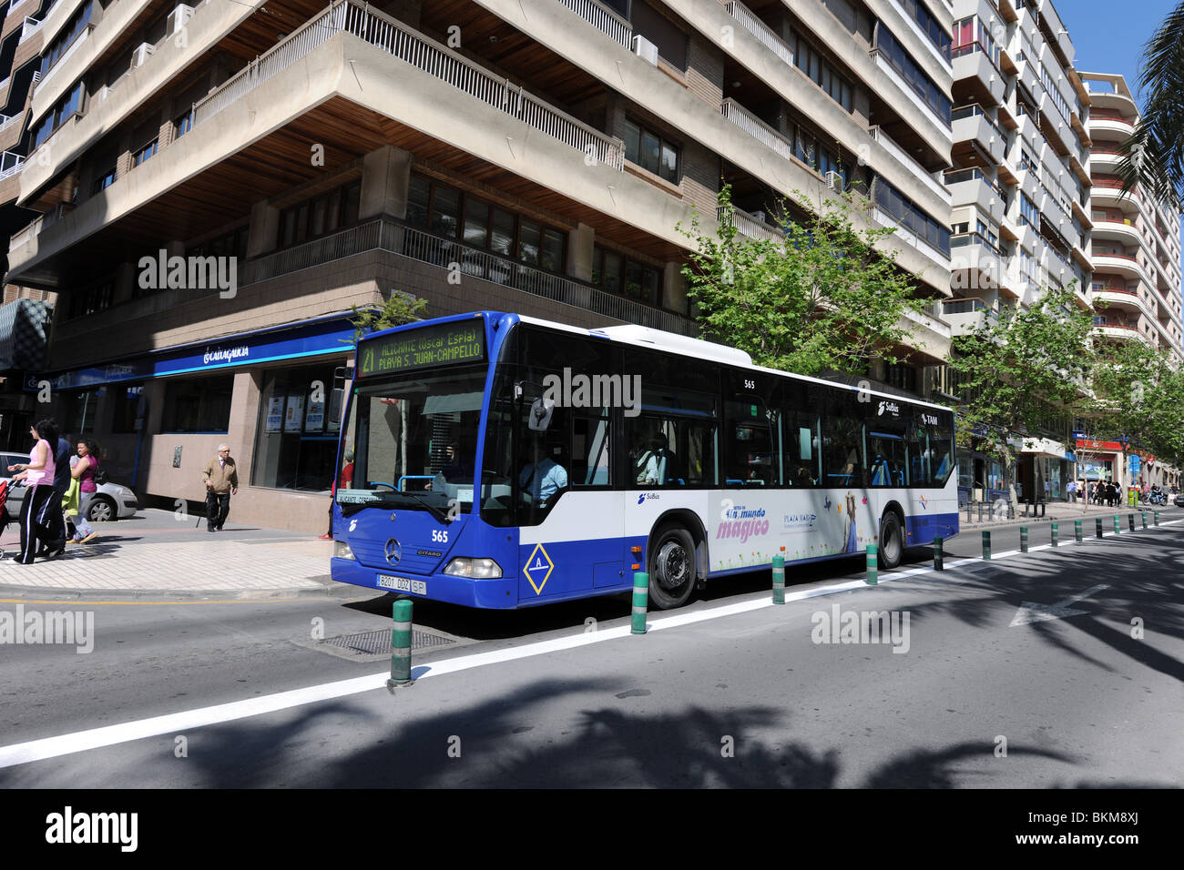 Bus auf der Avenida de Federico Soto, Alicante, Provinz Alicante, Comunidad Valenciana, Spanien Stockfoto