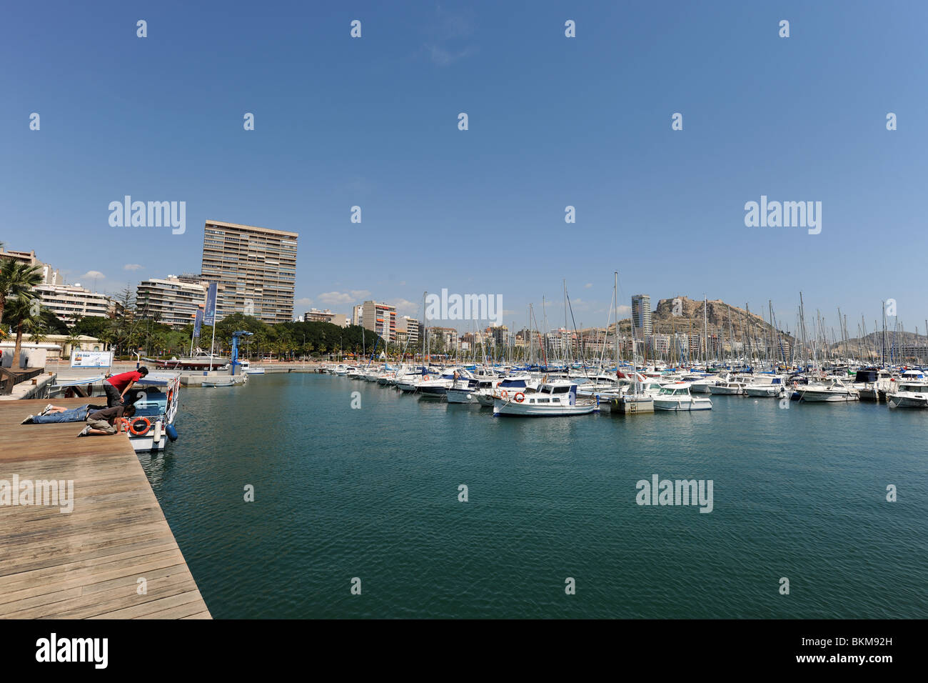 Blick über Hafen, Skyline der Stadt & Burg Santa Barbara, Spanien, Alicante, Provinz Alicante, Comunidad Valenciana Stockfoto