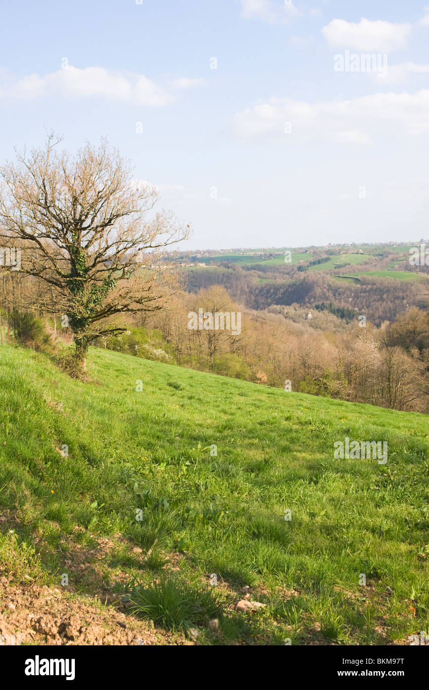 Schöne sanfte Landschaft und Ackerland in der Ortschaft von Laval in der Nähe von Pradinas Aveyron Midi-Pyrenäen-Frankreich Stockfoto