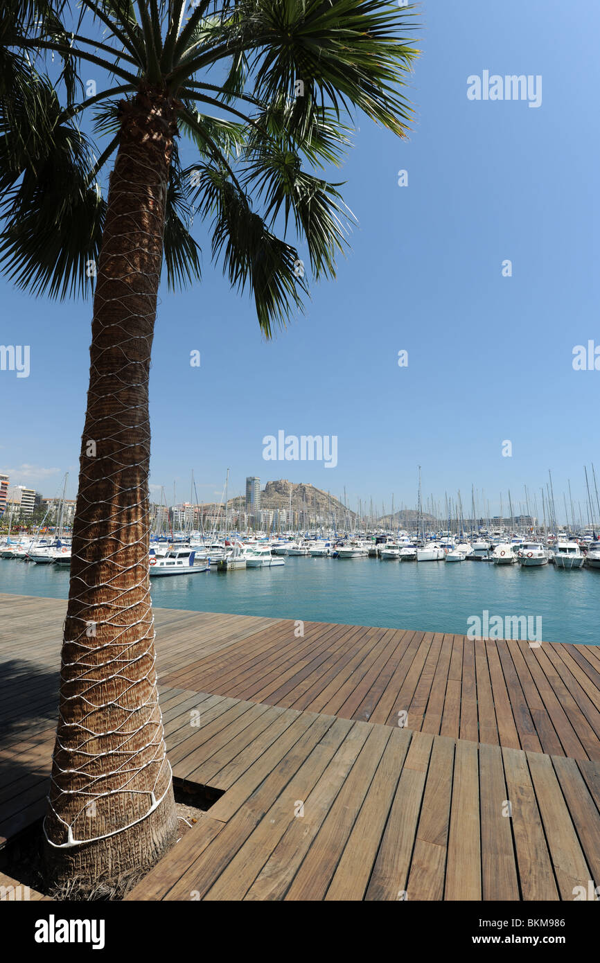 Blick über den Hafen in Richtung Santa Barbara Burg, Alicante, Provinz Alicante, Spanien Stockfoto