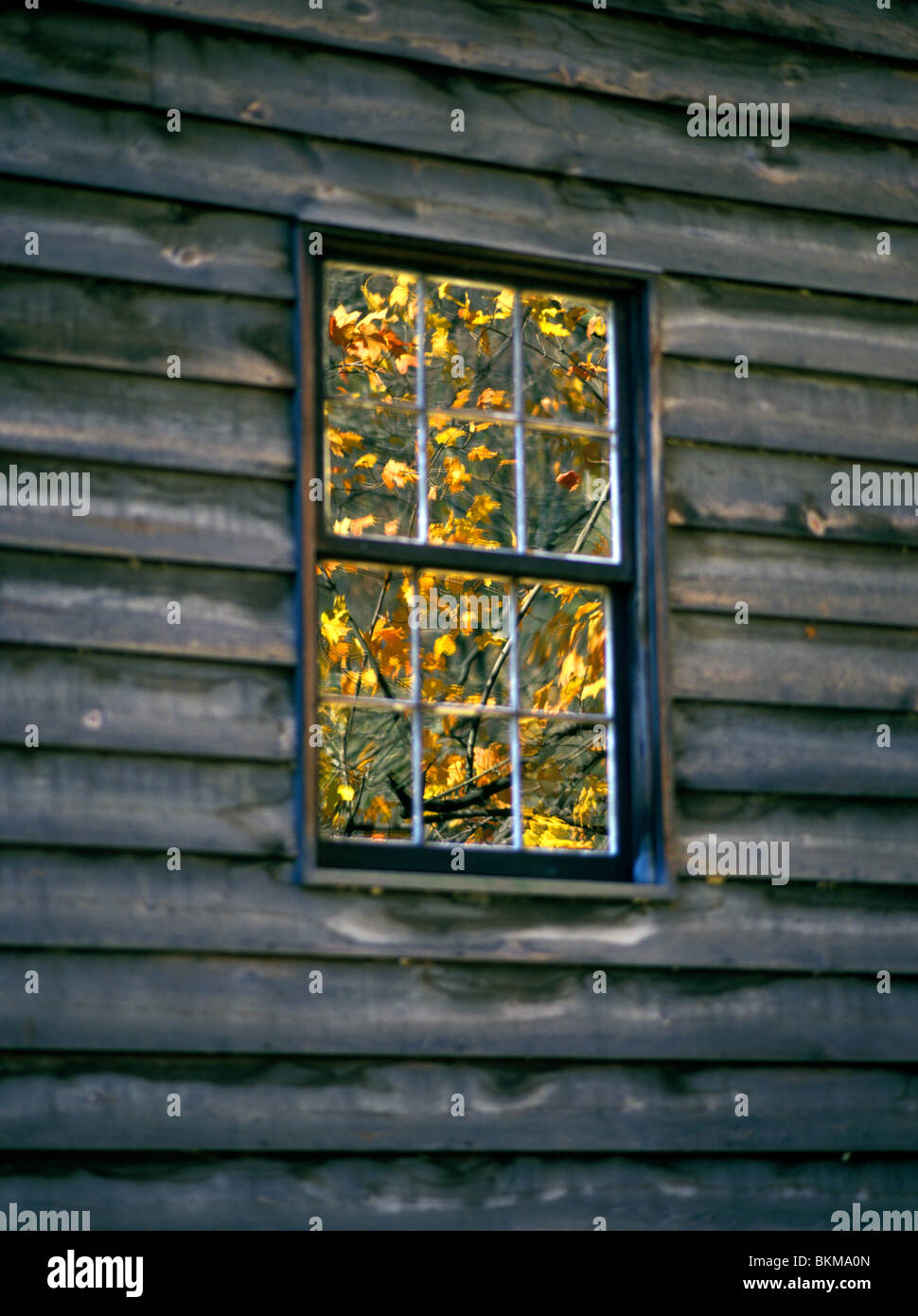 Fenster reflektiert gelbes Herbstlaub, Gastons Mühle in Beaver Creek State Park, Ohio, USA Stockfoto