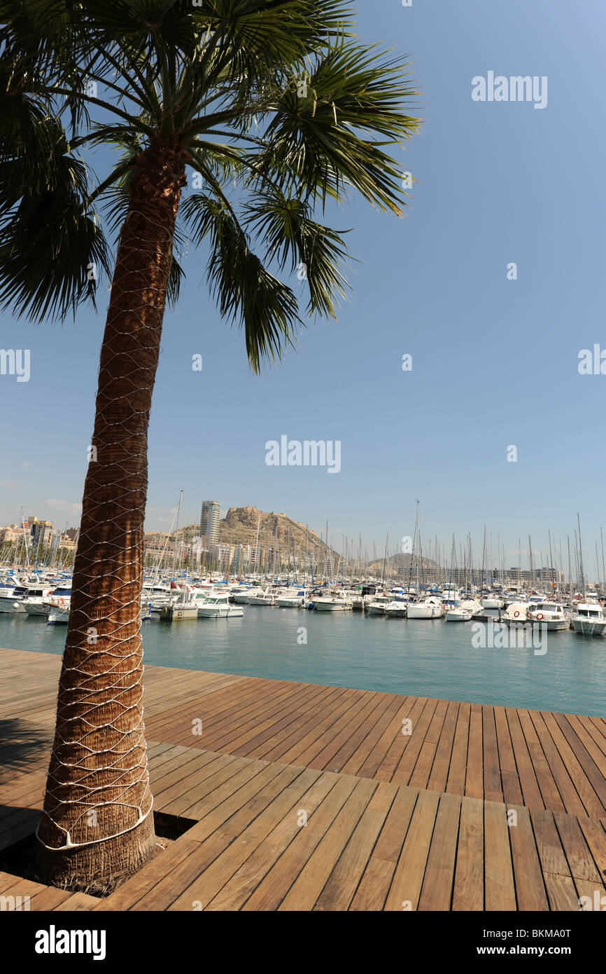 Blick über den Hafen in Richtung Santa Barbara Burg, Alicante, Provinz Alicante, Spanien Stockfoto