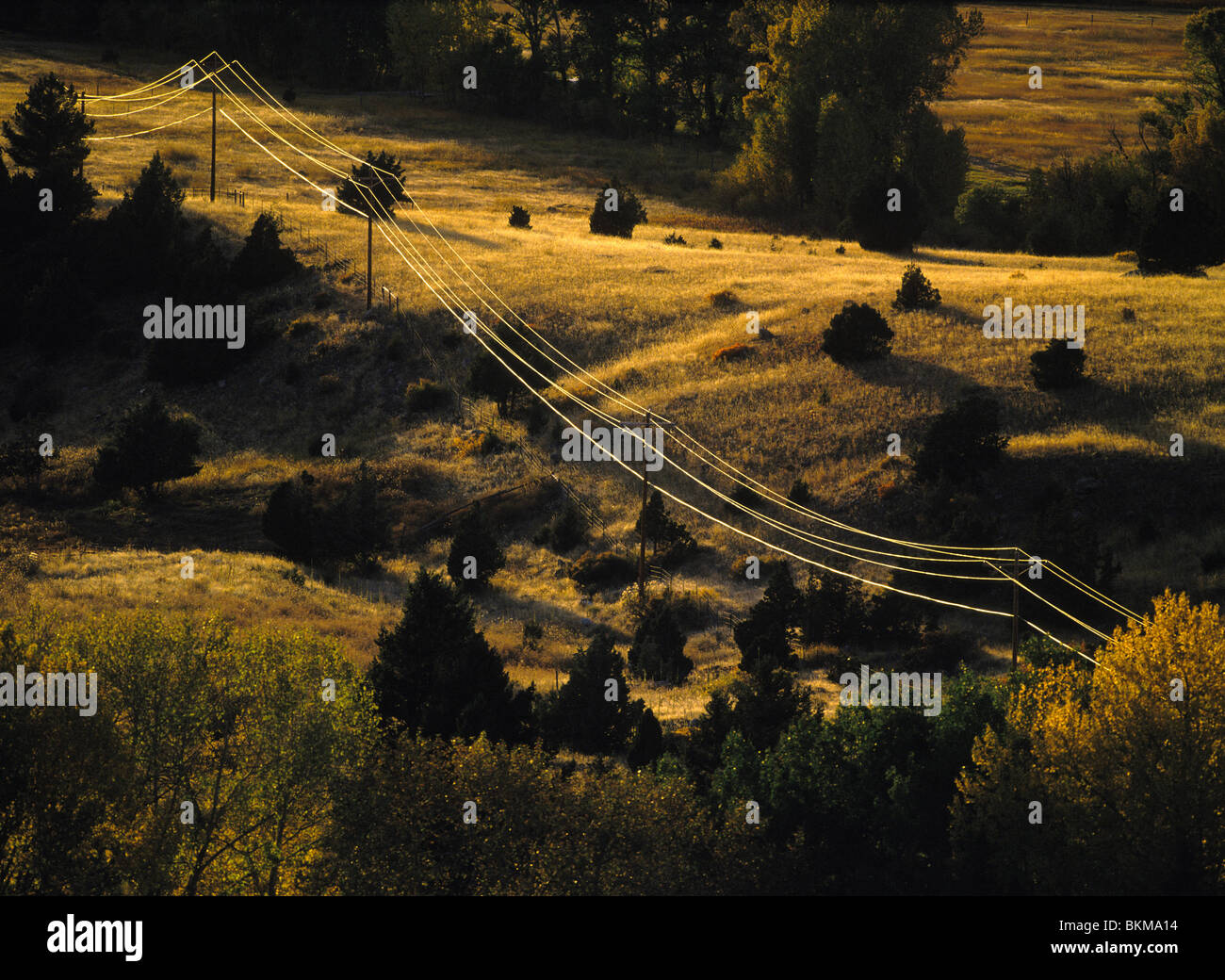 Glühende Stromleitungen und Telefon Linie Polen Schleife über die Ausläufer des Paradise Valley, Herbst, Montana, USA Stockfoto