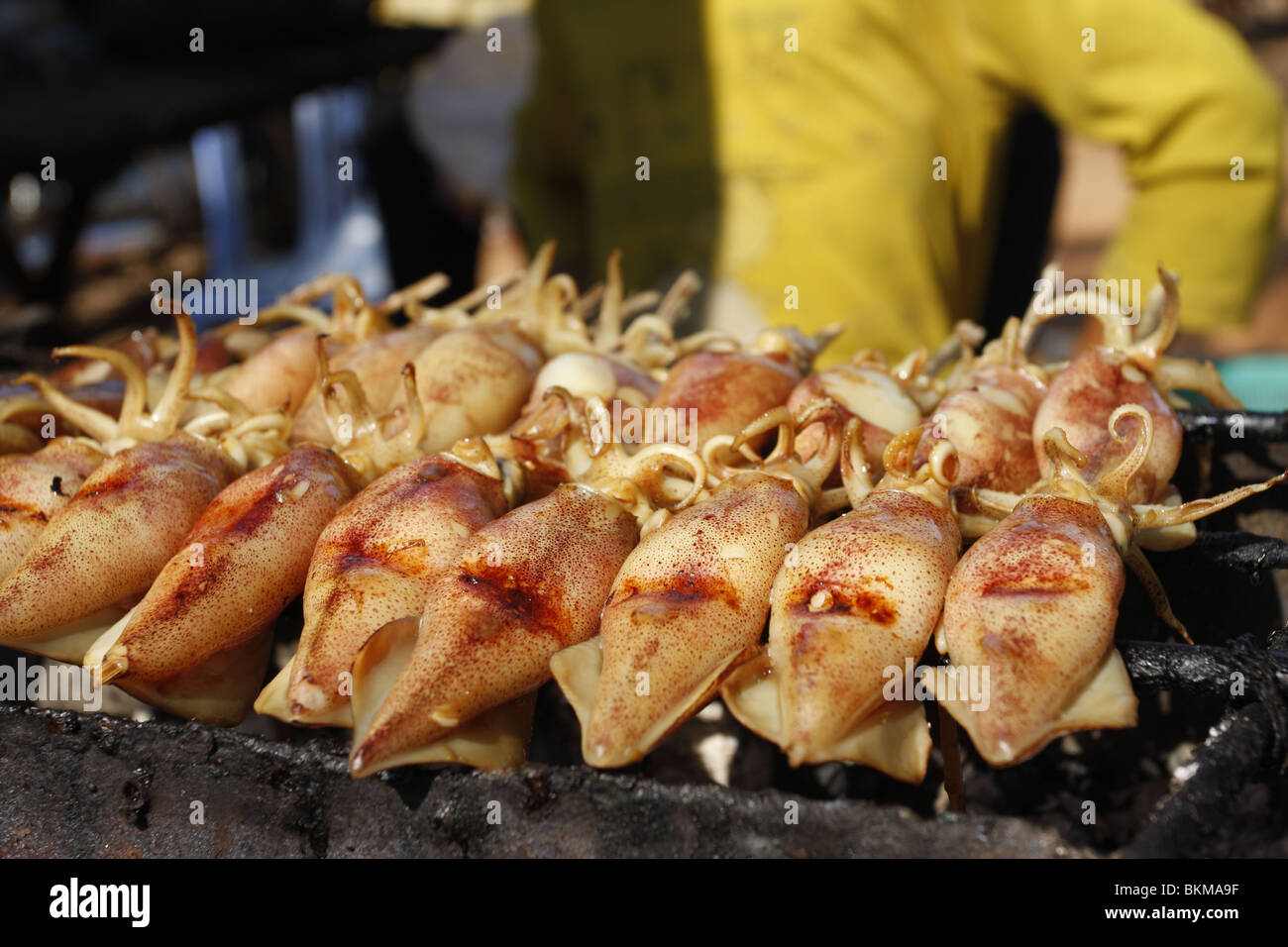 Gegrillter Tintenfisch für Kep Krabbe Markt in Kambodscha Stockfoto