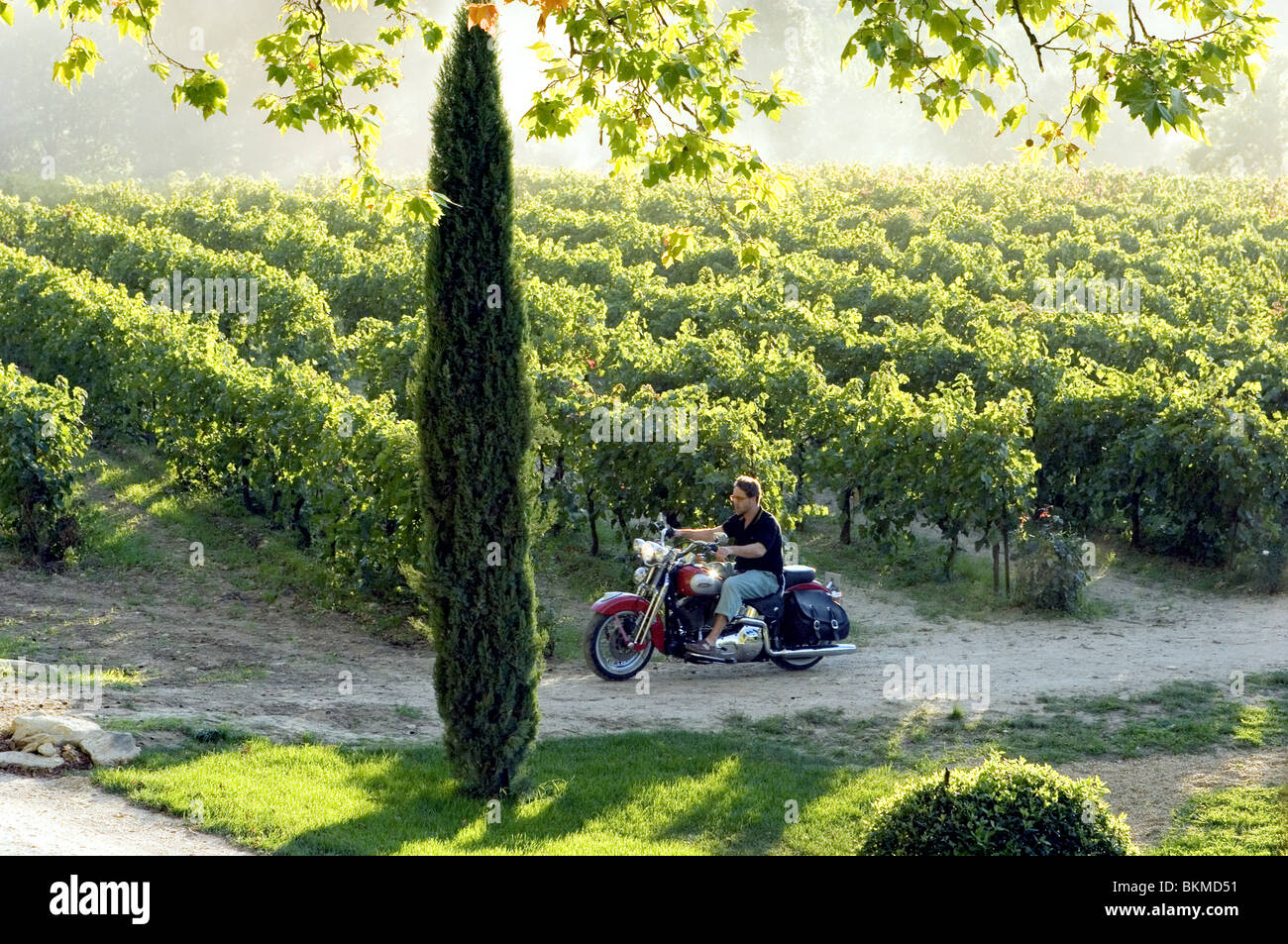 EIN GUTES JAHR (2006) RUSSELL CROWE GDYR 001-07 Stockfoto