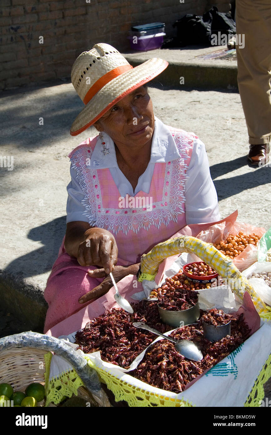 Straßenhändler verkaufen gebratene Heuschrecken in Cholula, Puebla, Mexiko. Stockfoto
