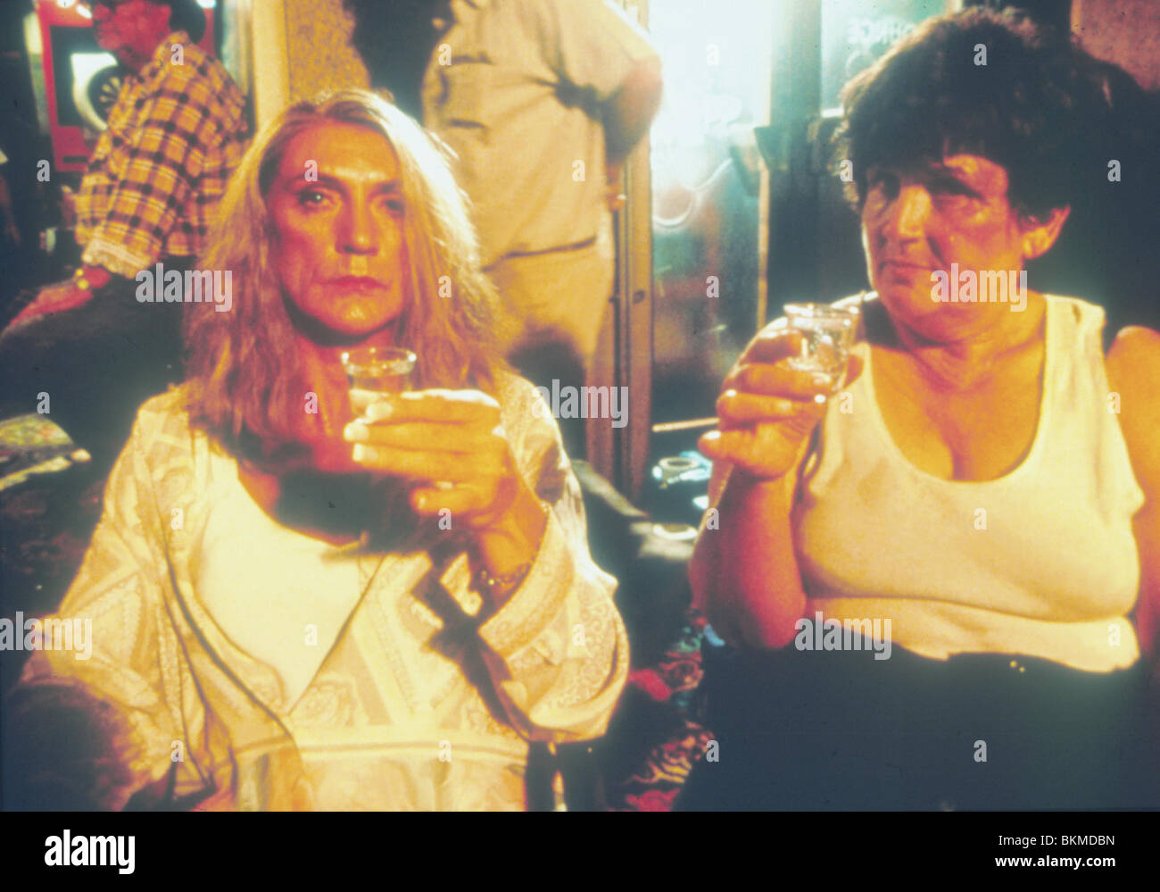 THE ADVENTURES OF PRISCILLA, KÖNIGIN DER WÜSTE (1994) TERENCE STAMP AVOP 037 Stockfoto