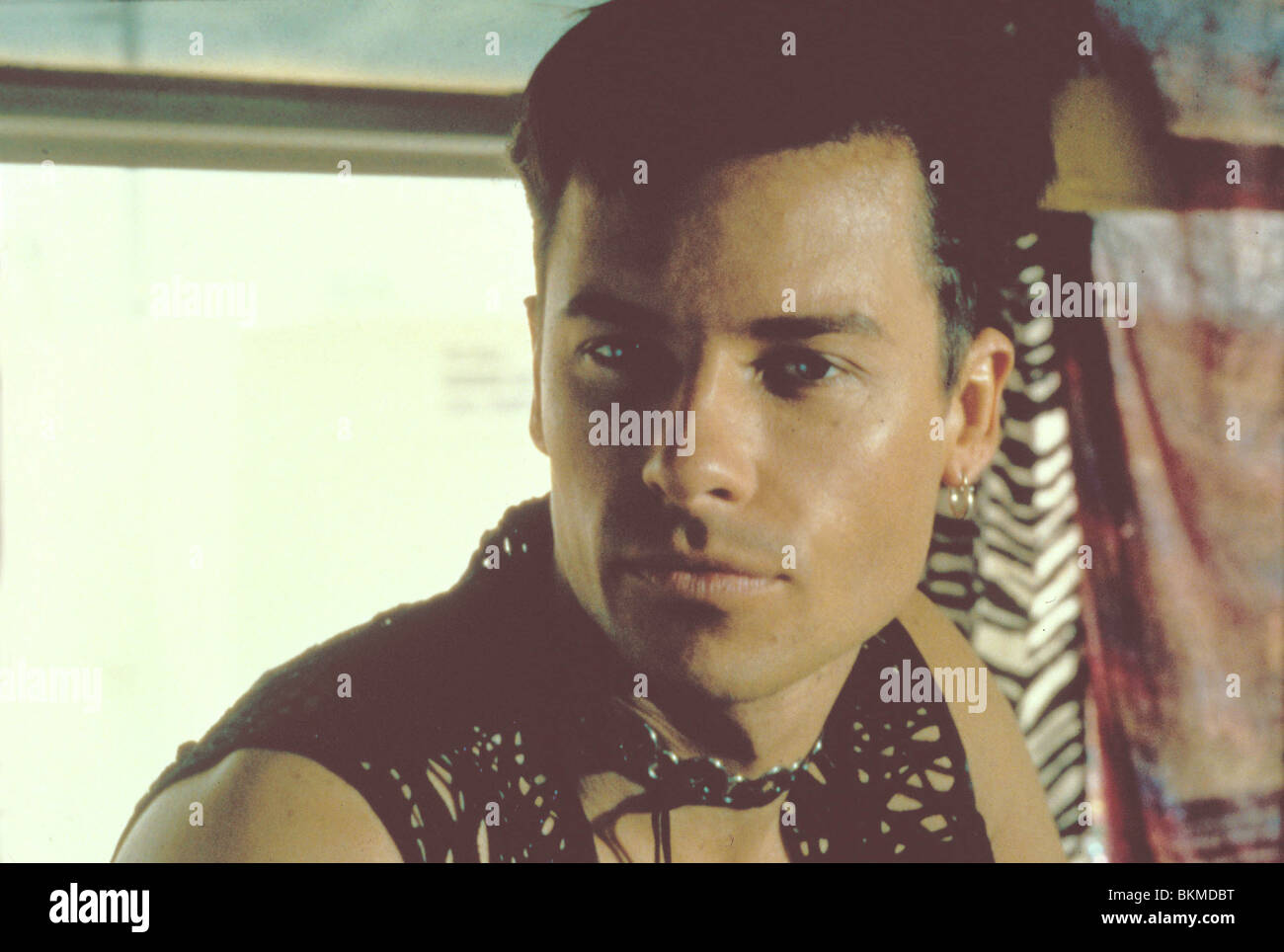 THE ADVENTURES OF PRISCILLA, KÖNIGIN DER WÜSTE (1994) GUY PEARCE AVOP 041 Stockfoto