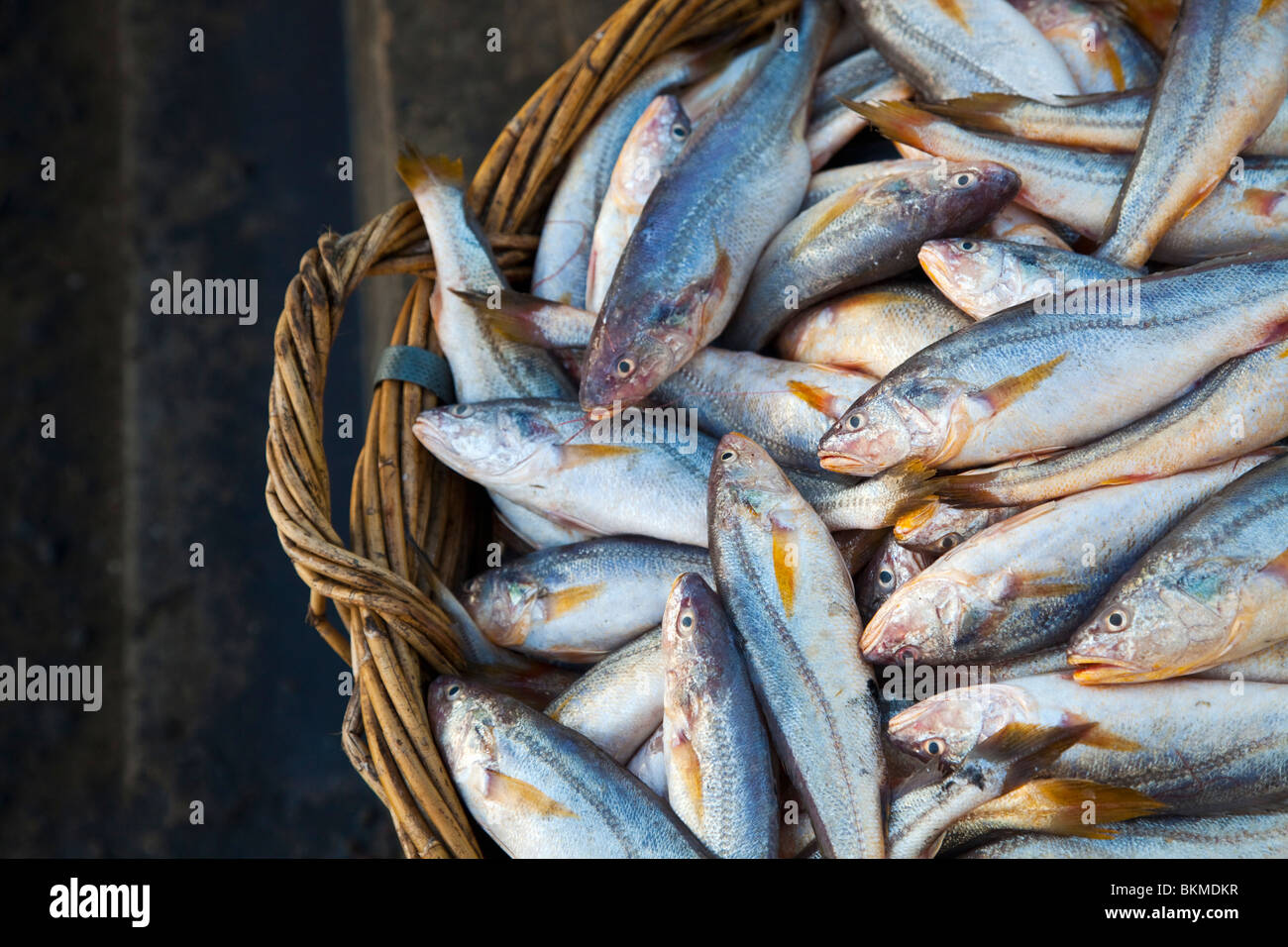 Körbe mit Fisch zum Verkauf an der Uferpromenade in Sandakan, Sabah, Borneo, Malaysia. Stockfoto