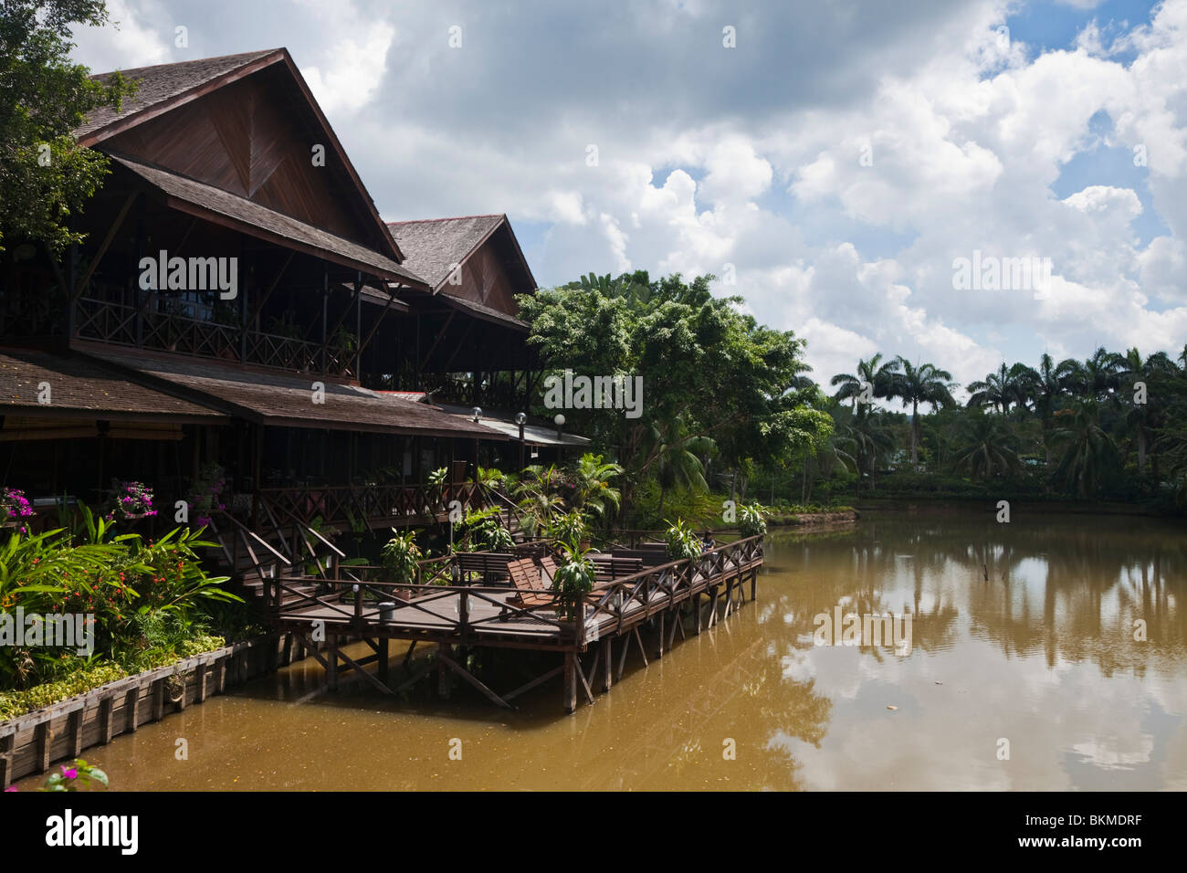 Sepilok Nature Resort. Sandakan, Sabah, Borneo, Malaysia. Stockfoto