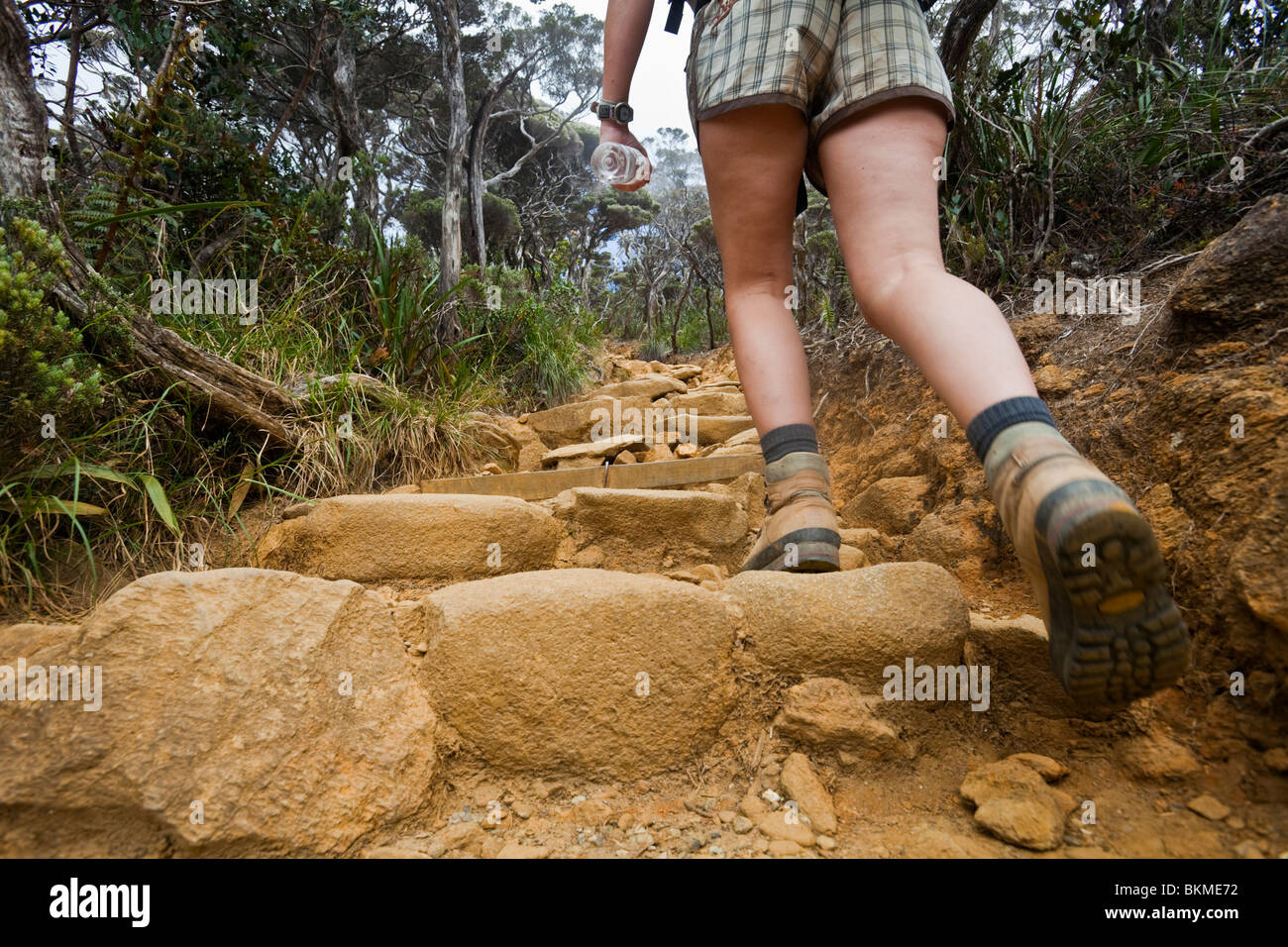 Wanderweg der Mt. Kinabalu-Gipfel.  Kinabalu National Park, Sabah, Borneo, Malaysia Stockfoto