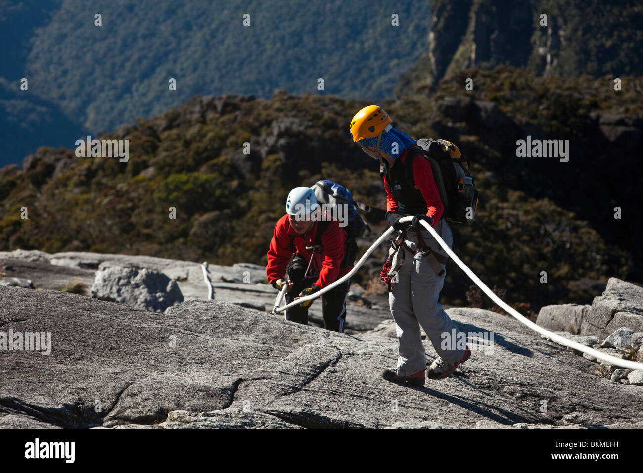Kletterer mit Hilfe von Seilen, die Felswand des Mt. Kinabalu abzusteigen. Kinabalu National Park, Sabah, Borneo, Malaysia. Stockfoto
