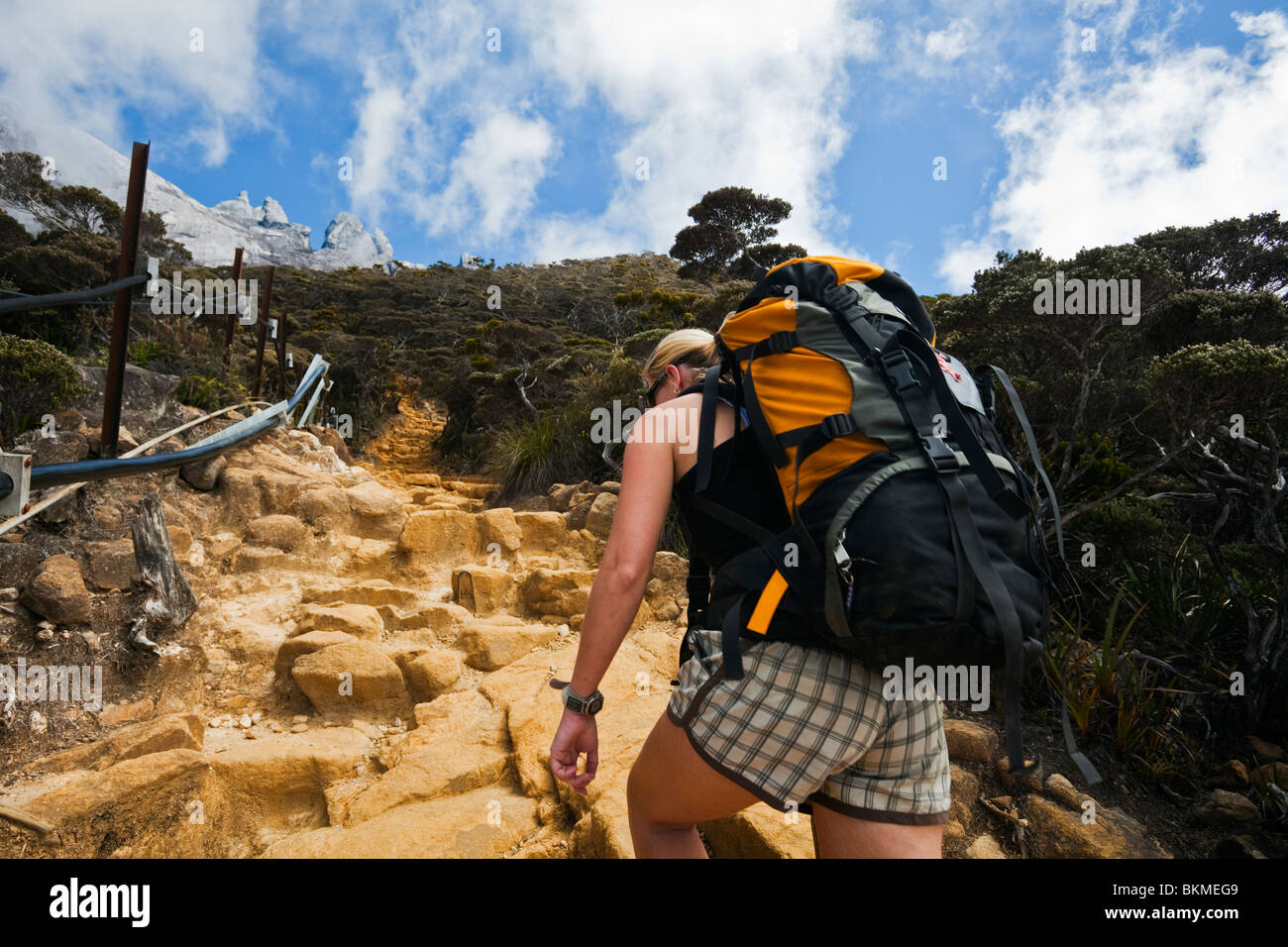 Mt. Kinabalu Wanderweg. Kinabalu National Park, Sabah, Borneo, Malaysia. Stockfoto