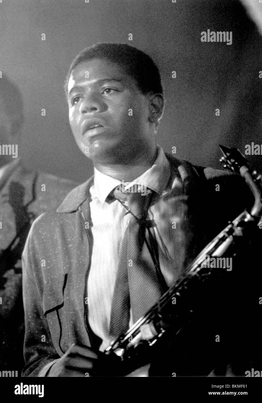 VOGEL-1988 DAMON WHITAKER Stockfoto