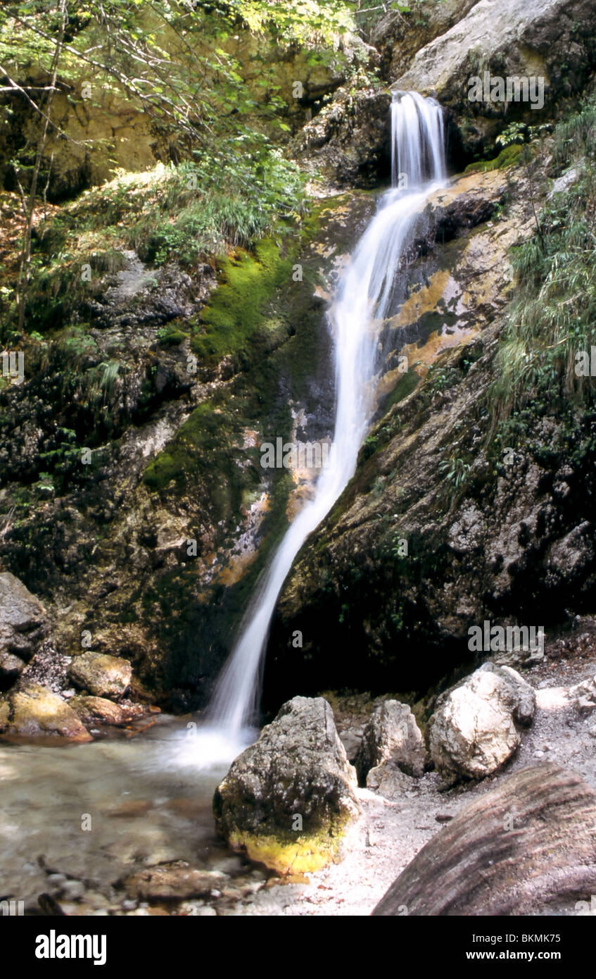 Wasserfall Wald Italien Nationalpark Abruzzo Camosciara Stockfoto