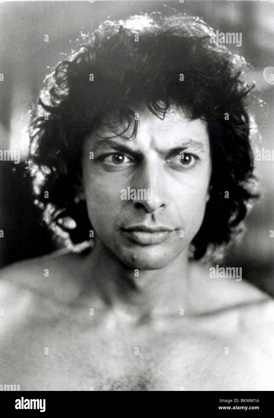 The Fly 1986 Jeff Goldblum Stockfotos und bilder Kaufen Alamy