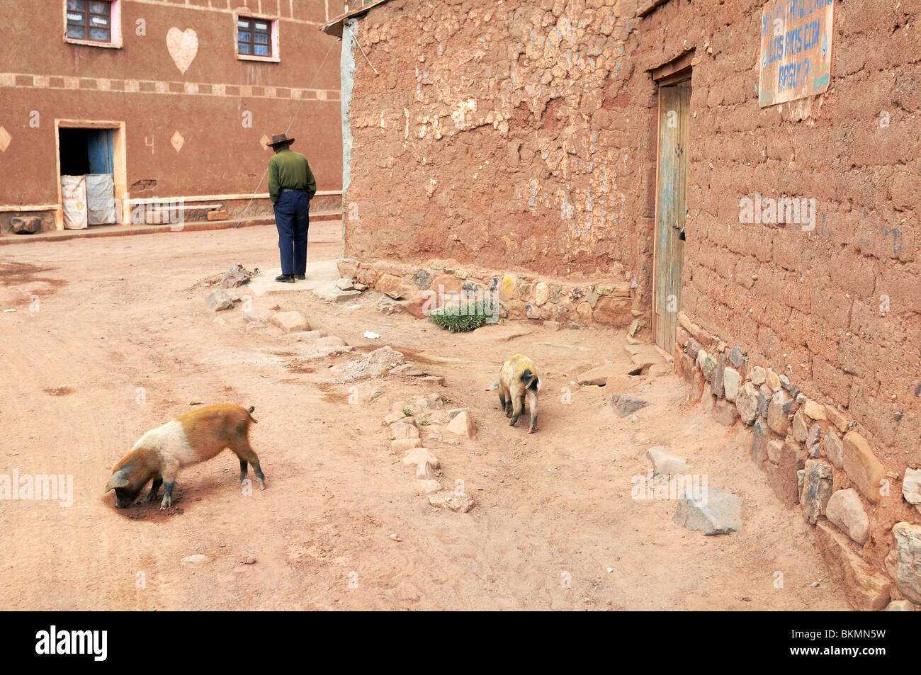 Szene aus der kleinen Stadt Macha im bolivianischen Hochland. Stockfoto