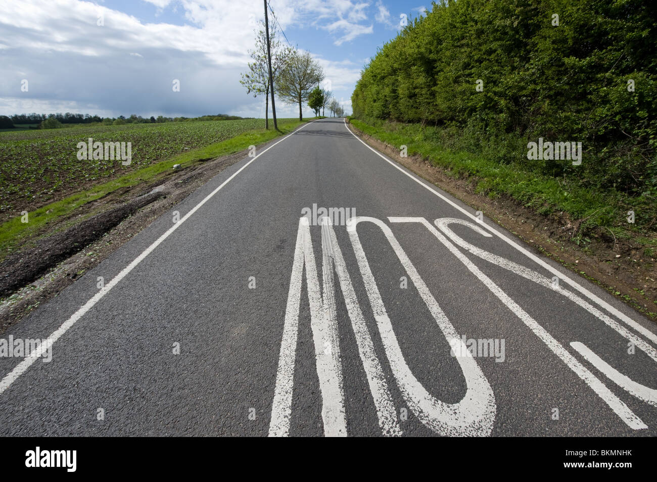 Schmale Landstraße mit Slow-Schild, Straßenbeschilderungen und Vorsichtsmaßnahmen auf Landstraße und Fahrspur im Frühsommer Stockfoto