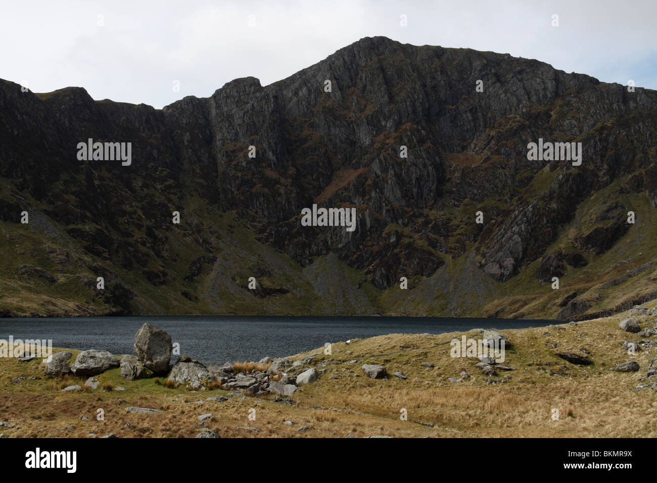 Der See Llyn Cau eingebettet unterhalb der großen Klippen Craig CAU am Berg Cadair Idris in Snowdonia, Nordwales Stockfoto
