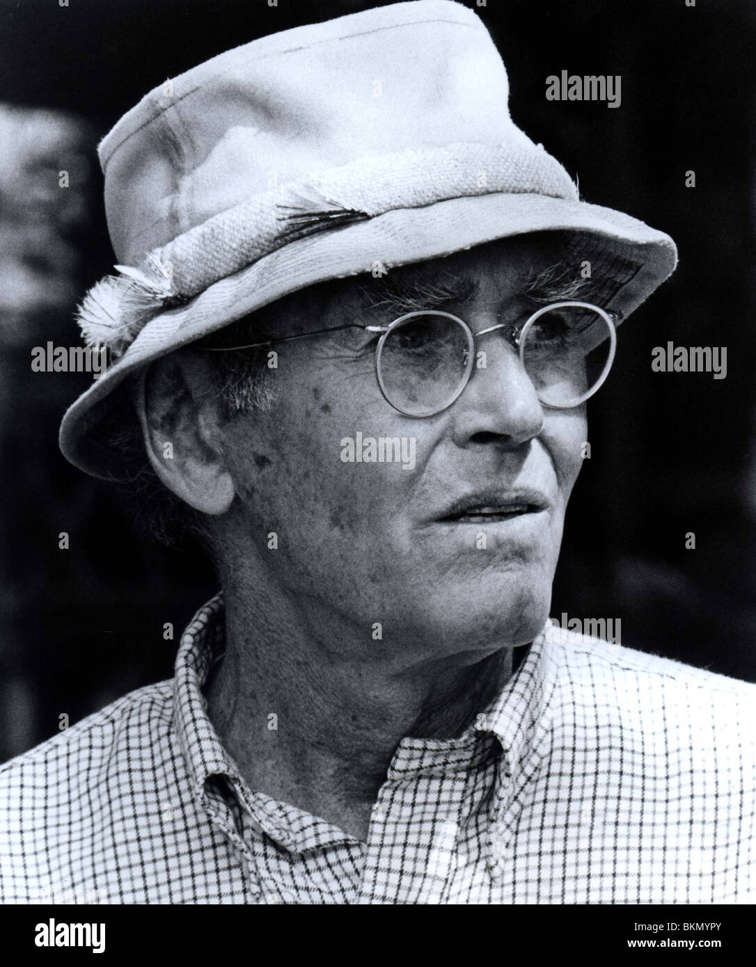 AM GOLDENEN SEE (1981) HENRY FONDA OGP 001 P ITC INSERATE NUR Stockfoto