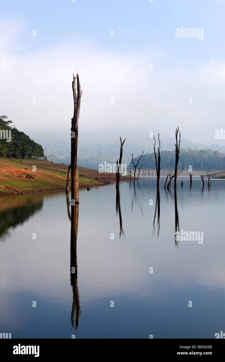 Periyar See Reserve in Kerala Staat Indien mumnar Stockfoto