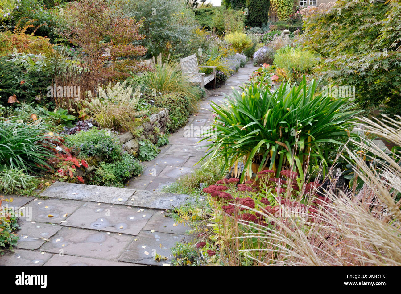 Versunkene Garten im Herbst, Karl Foerster Garten, Potsdam, Deutschland Stockfoto