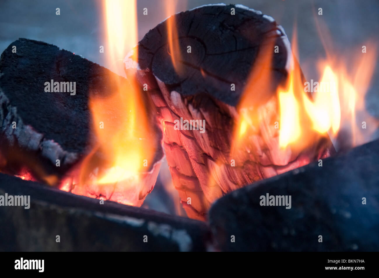 Ein brennendes Feuer in einer Feuerstelle Stockfoto