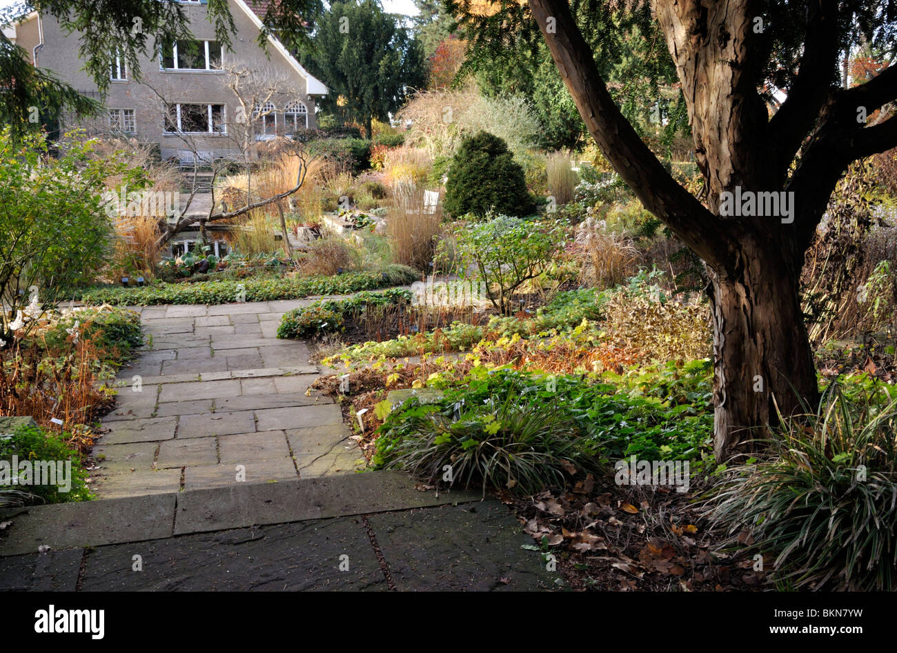 Versunkene Garten im Herbst, Karl Foerster Garten, Potsdam, Deutschland. Design: Karl Foerster Stockfoto