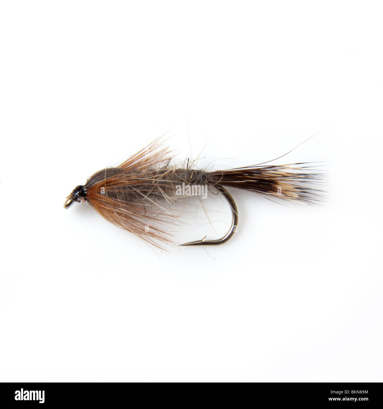 Hasen Ohr Nymphe Fliege Forellen angeln isoliert auf einem weißen Studio-Hintergrund. Stockfoto