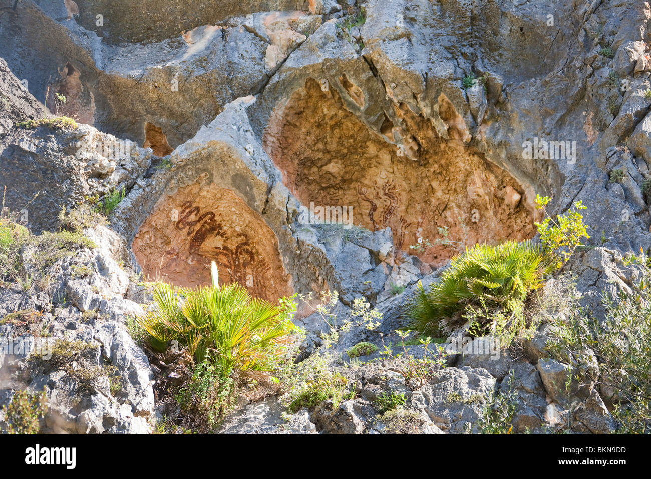 Pla de Petracos, Paleothic Kunst, Höhle Gemälde Comunidad Valenciana, Castell de Castells, Spanien horizontale 106187 Spain10 Stockfoto