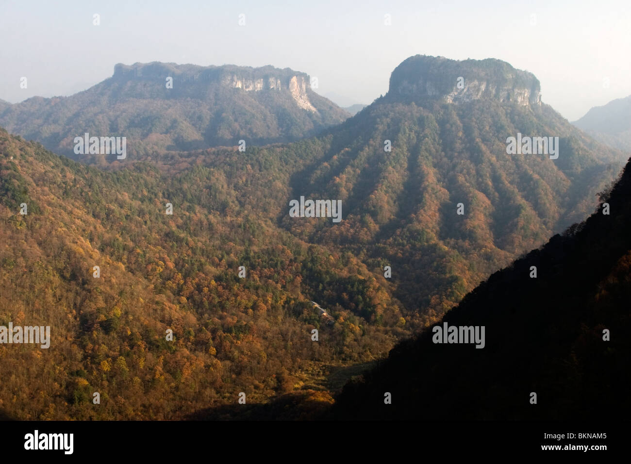 Die Quintessenz abgeflachten Berge in Herbstfarben im Micang Shan Naturschutzgebiet Guangyuan in Sichuan in China. Stockfoto