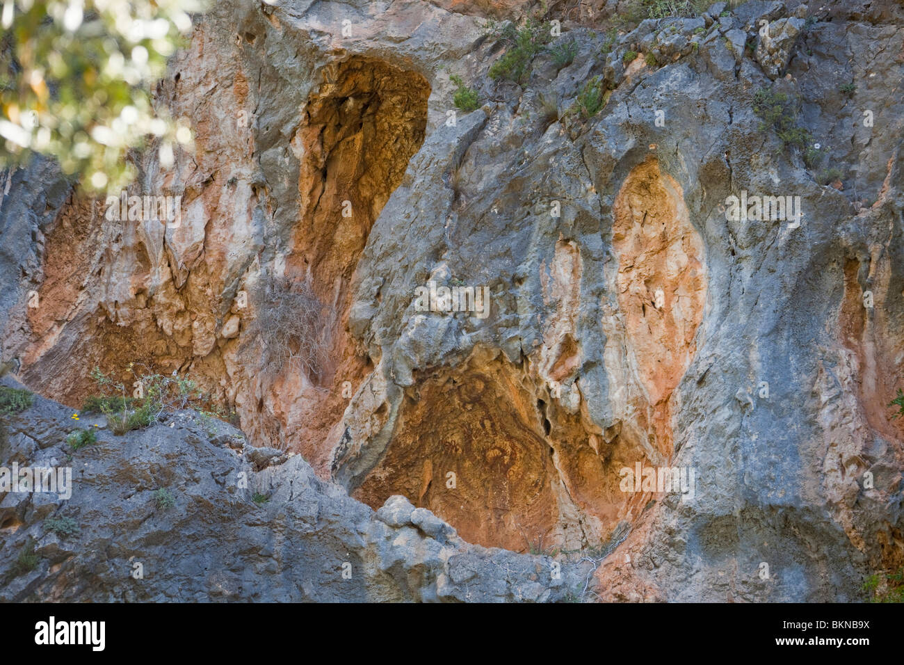 Pla de Petracos, Paleothic Kunst, Höhle Gemälde Comunidad Valenciana, Castell de Castells, Spanien horizontale 106181 Spain10 Stockfoto