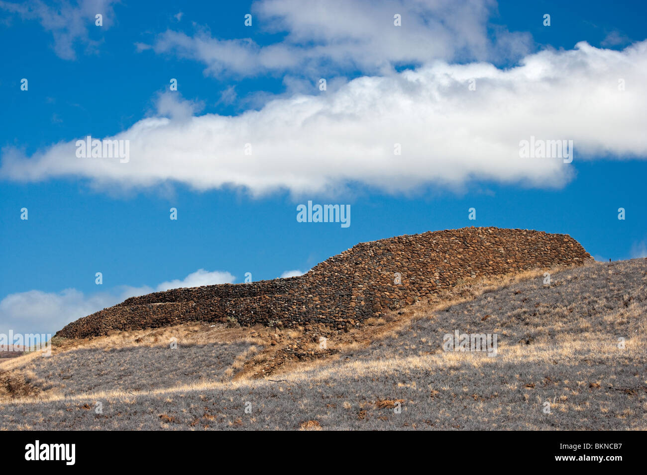 Puukohola Heiau National Historic Site in der Nähe von Kawaihae, Hawaii Stockfoto