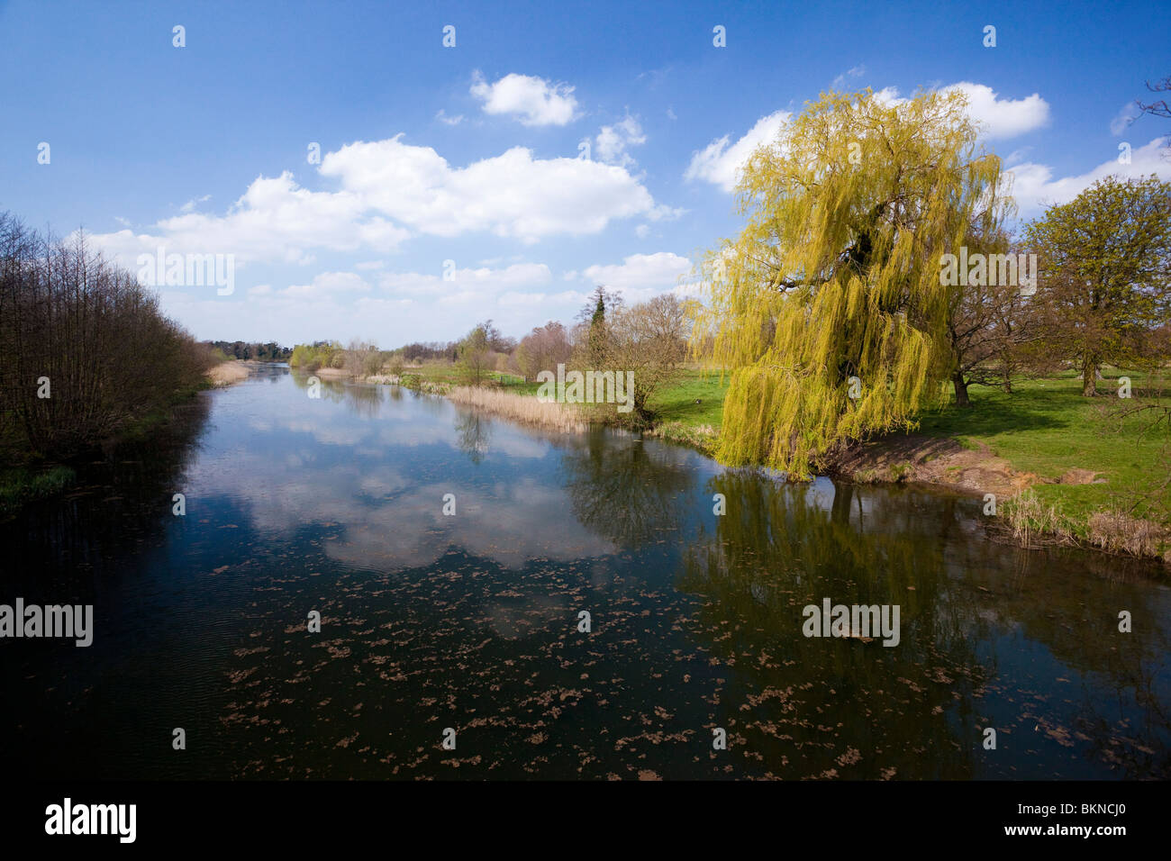 der See im Culford Park Stockfoto