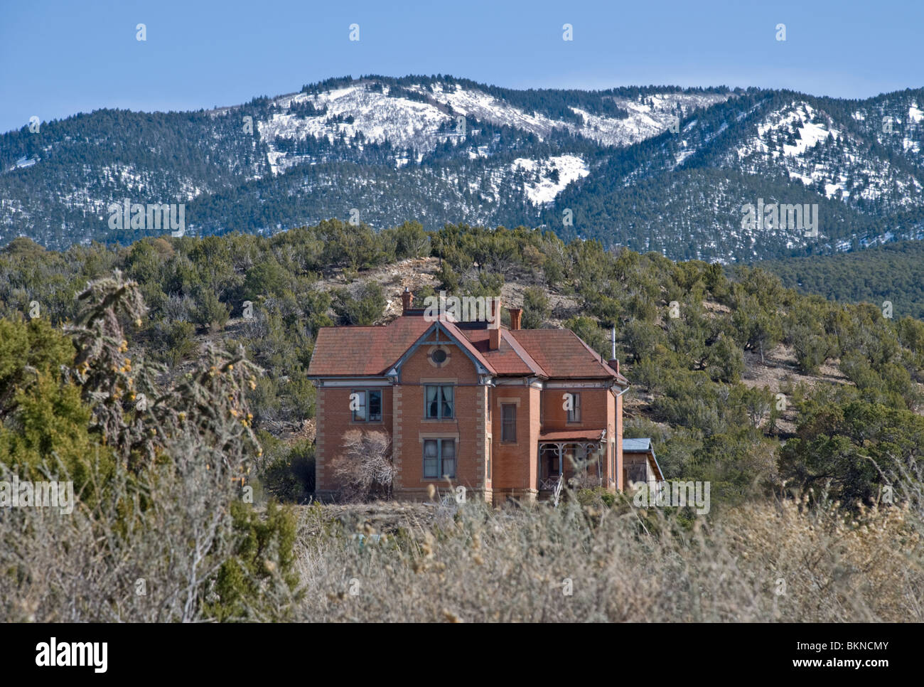 "Hoyle Torheit", die Bezeichnung für das historische Herrenhaus in White Oaks ist ein viktorianisches Meisterwerk in Restaurierung. Stockfoto