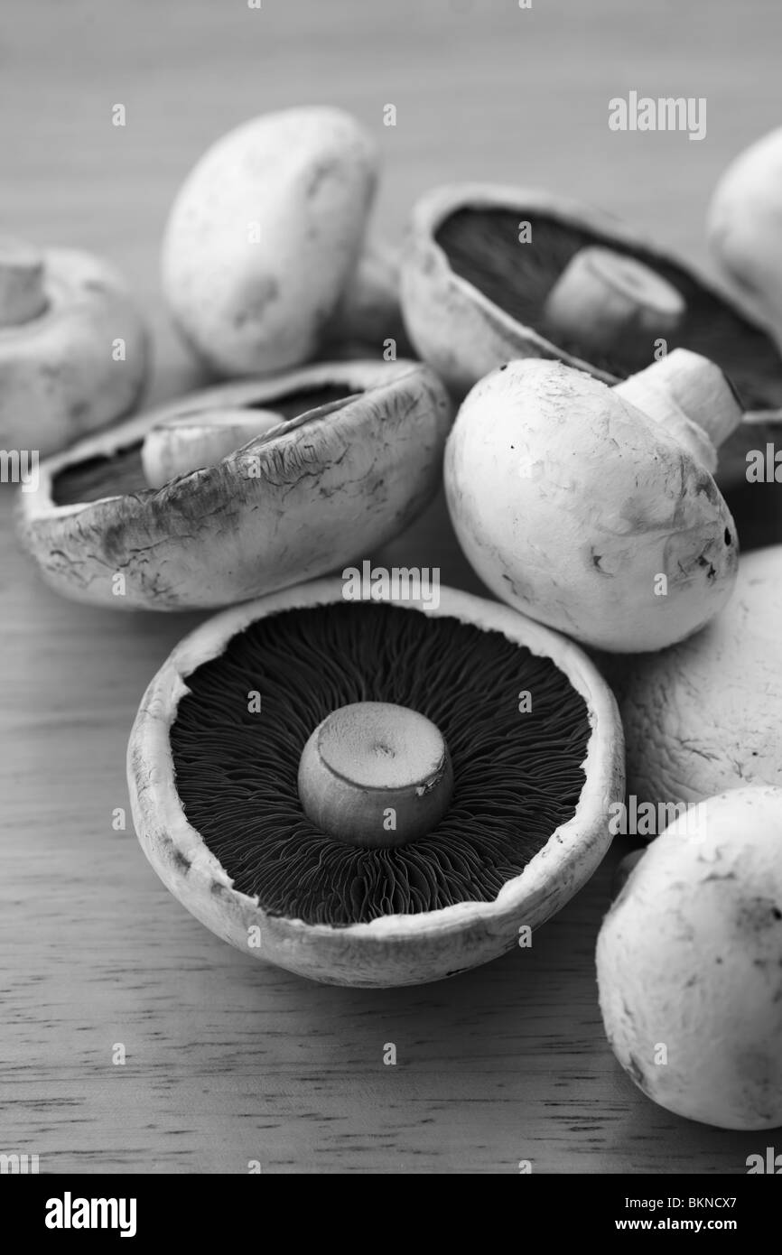 Eine kleine Sammlung von Pilzen in schwarz und weiß. Stockfoto