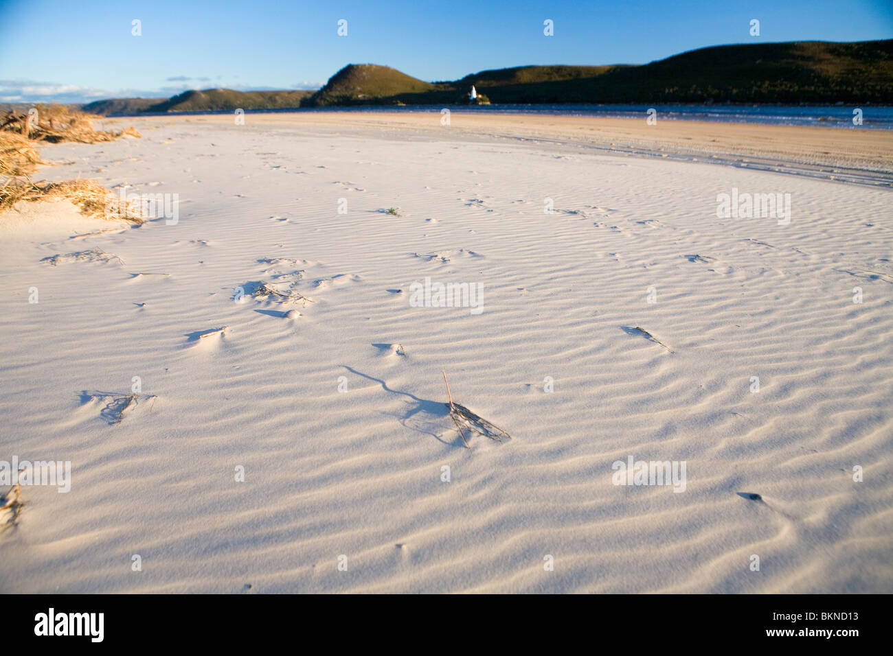 Strand und Leuchtturm am Macquarie Köpfe Stockfoto