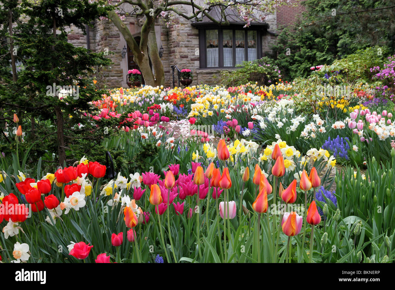 Garten im frühling Fotos und Bildmaterial in hoher Auflösung Alamy